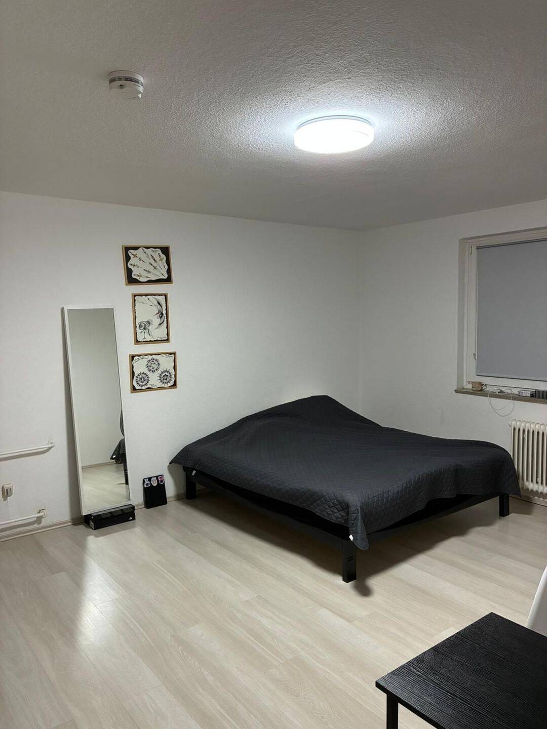 Vermietetes  1-Zimmer-Apartment in Hainholz, Hannover – Ideal für Städter, 30165 Hannover