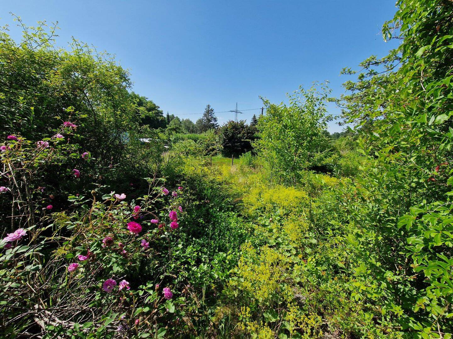Idylle pur in Werdau – West, 8412 Werdau