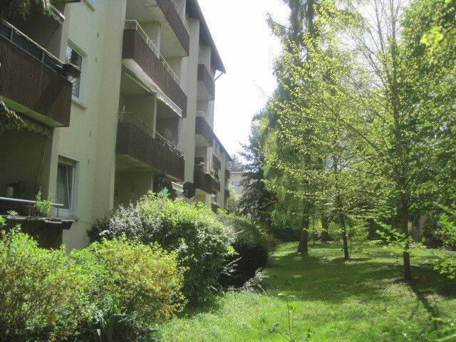 image-72565920