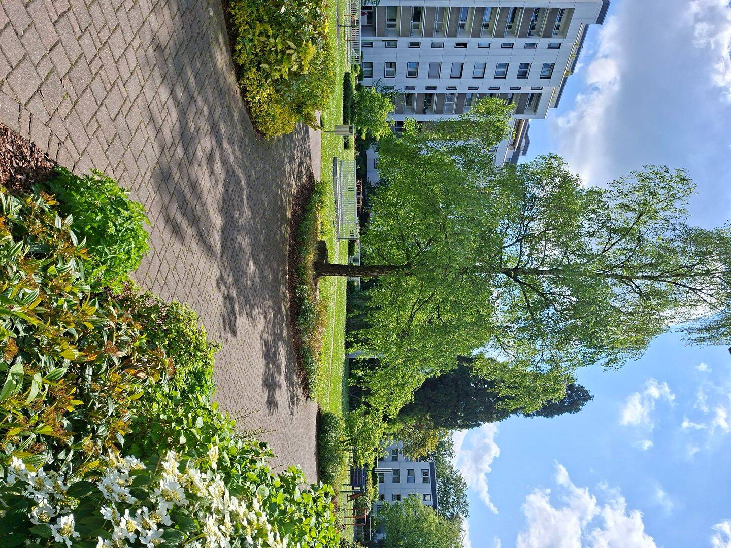 image-72647556