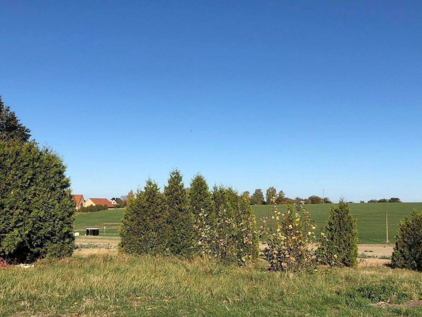 2 nebeneinanderliegende Baugrundstücke in Grimma-Wetteritz, 4668 Grimma