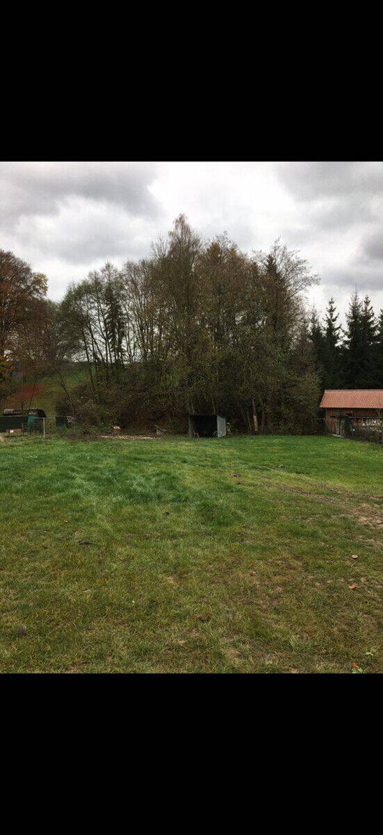 Hammerstetten: Naturnahes Wohnen – Baugrundstück in Ortsrandlage!, 89358 Kammeltal