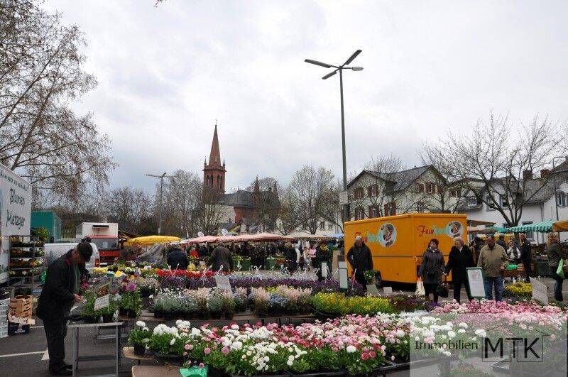SINGLE GESUCHT!! TOP sanierte 2-Zi.-Whg. mit Flair in der Höchster ALTSTADT !!, 65929 Frankfurt am Main (Höchst Schwanheim Unterliederbach)