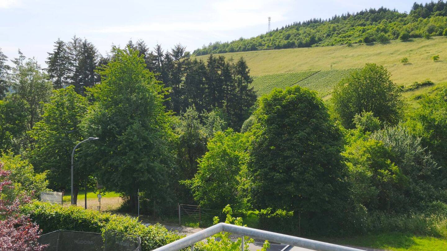 3ZKB mit Blick in die Weinberge, 54317 Kasel