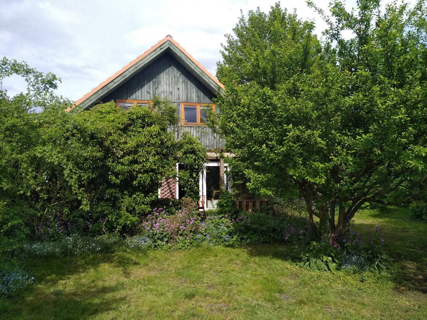 image-72868260