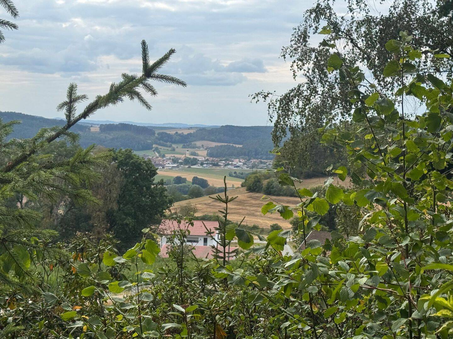 Chalais im bayerischen Wald, 93489 Schorndorf