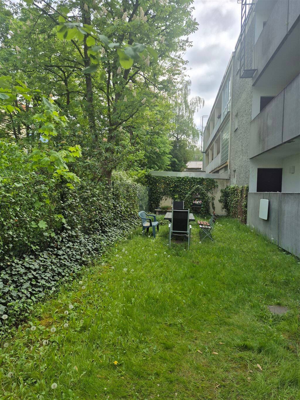 image-72575532