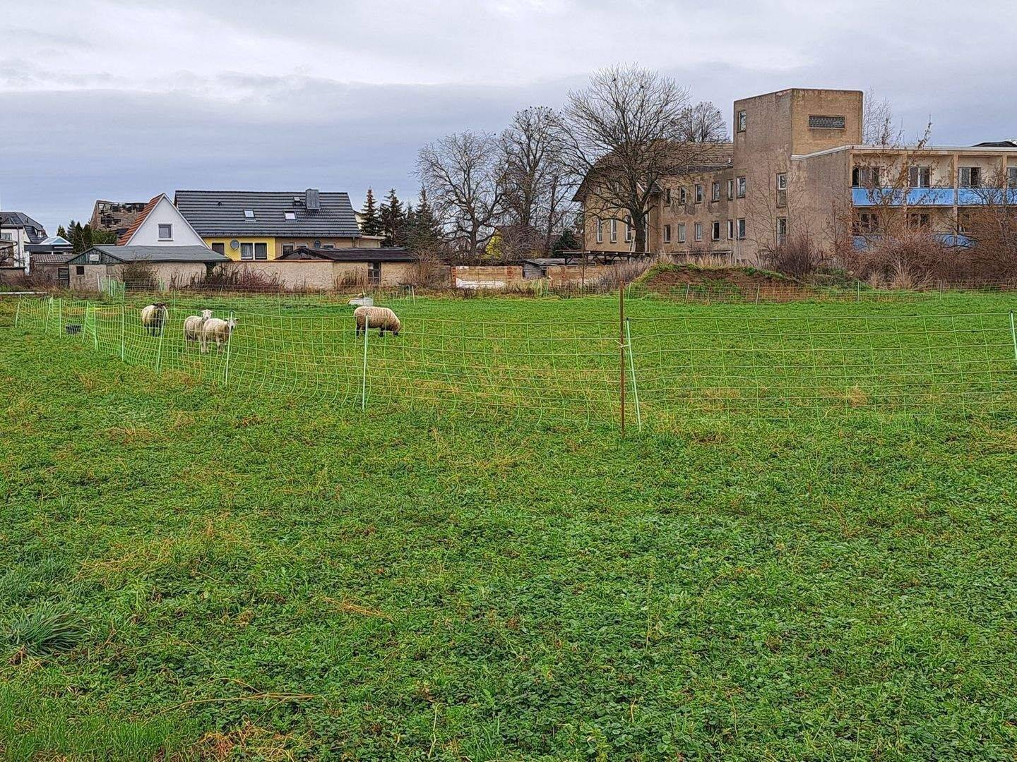 Eine Liegenschaft als die perfekte Anlage nutzen. Bauland wird immer weniger., 4931 Mühlberg/Elbe