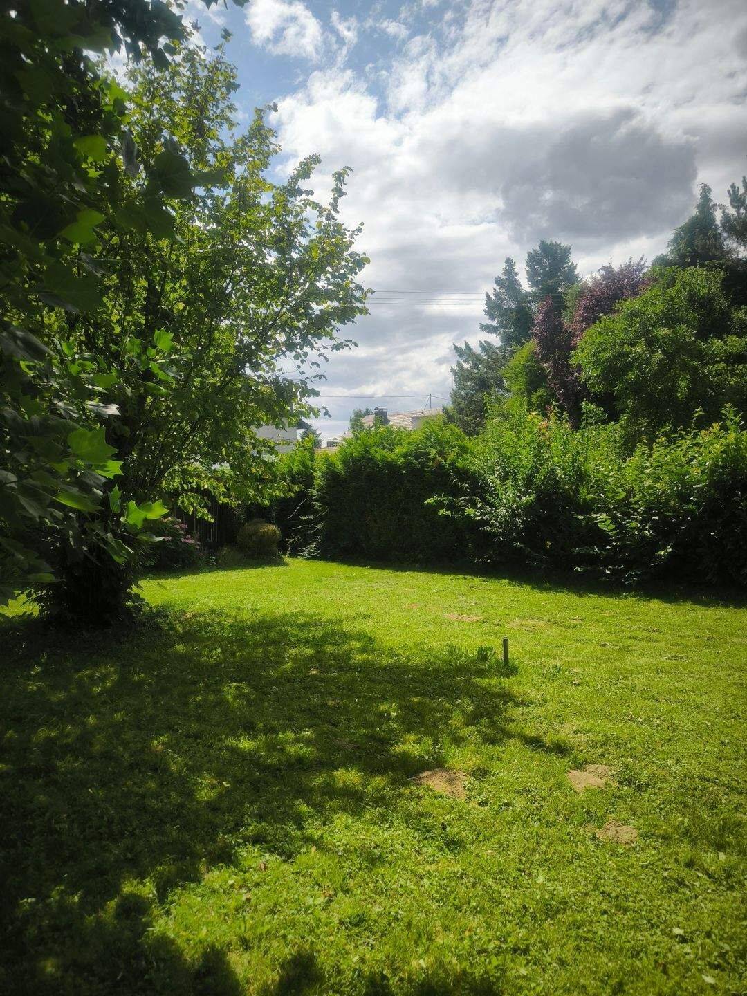 Schnäppchen: Bauland in Durbach, 77770 Durbach