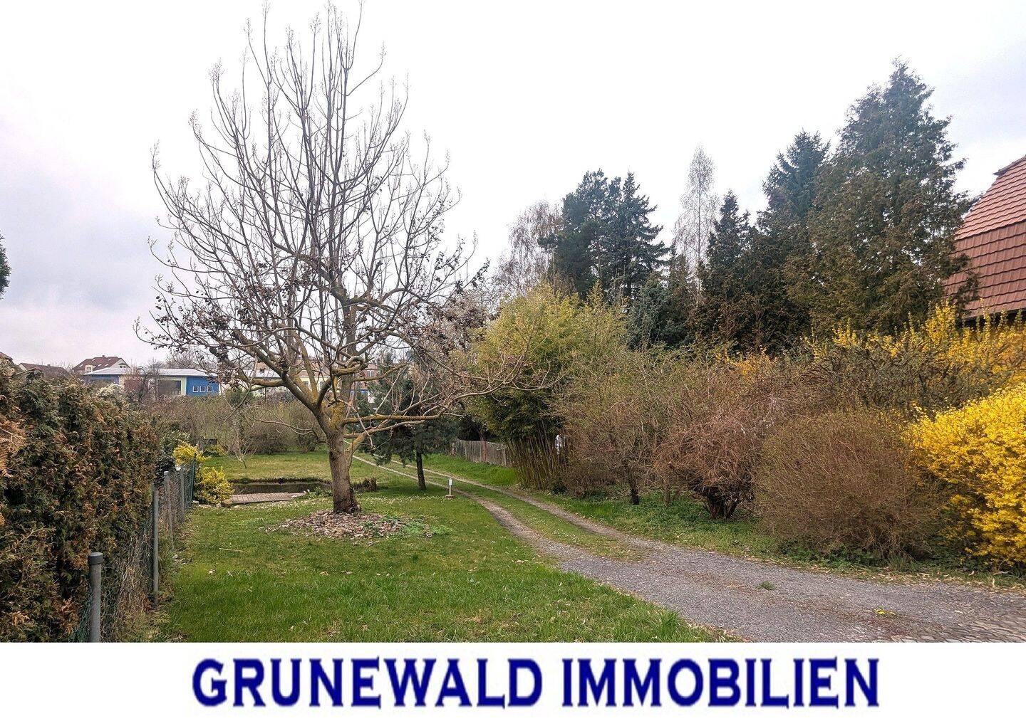 Bauträgerfrei – großzügiges Grundstück in ruhiger Seitenstraße., 7607 Eisenberg