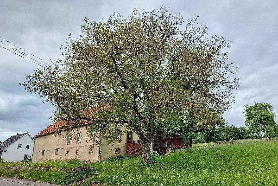 Idyllisch gelegen! Freistehendes, ehemaliges Bauernhaus + ca.150 m² Ausbaufläche im Anbau, mit ca.3100 m² Gelände, in Blieskastel-Brenschelbach, 66440 Blieskastel