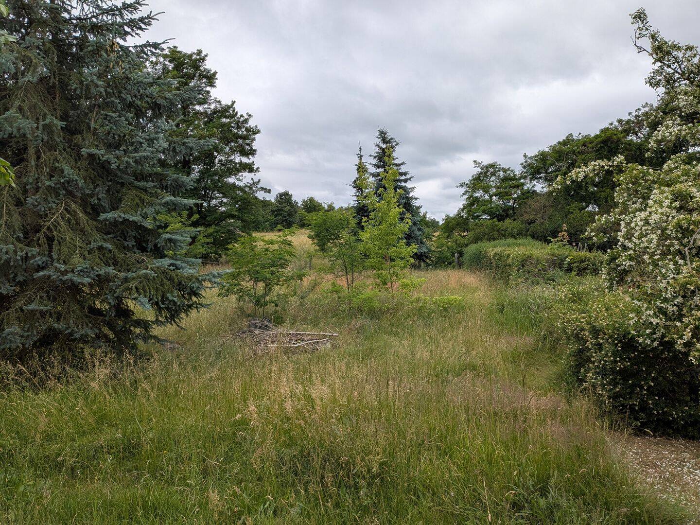 932 m² Baugrundstück mit Bauvorbescheid in Kemberg, 6901 Kemberg