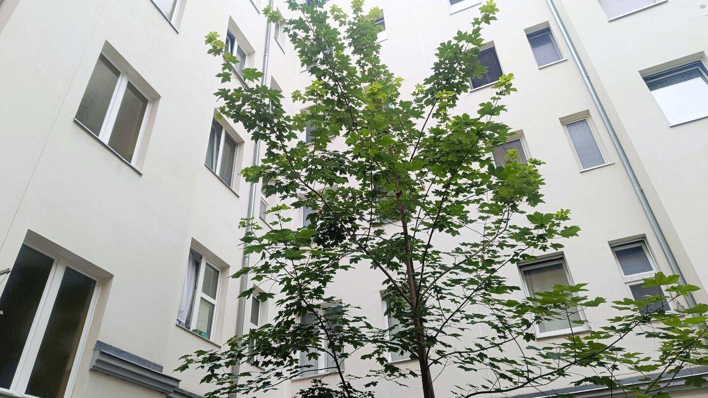 Renoviert und bezugsfreie Altbauwohnung -nahe Schloss Charlottenburg – – 10589 Berlin – Bild 1 von 3