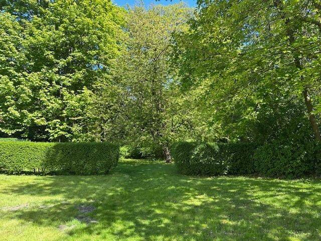 image-72741851