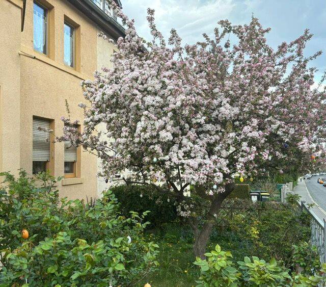 Schönes Einfamilienhaus im Dichterviertel zu verkaufen, 99096 Erfurt (Altstadt Brühlervorstadt Daberstedt Löbervorstadt Melchendorf)