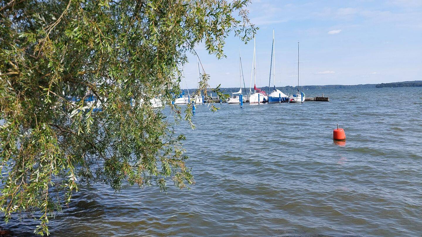Leben im Grünen in Emmering, Krs FFB, 82275 Emmering