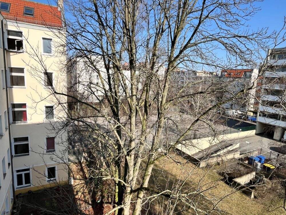 image-72597382