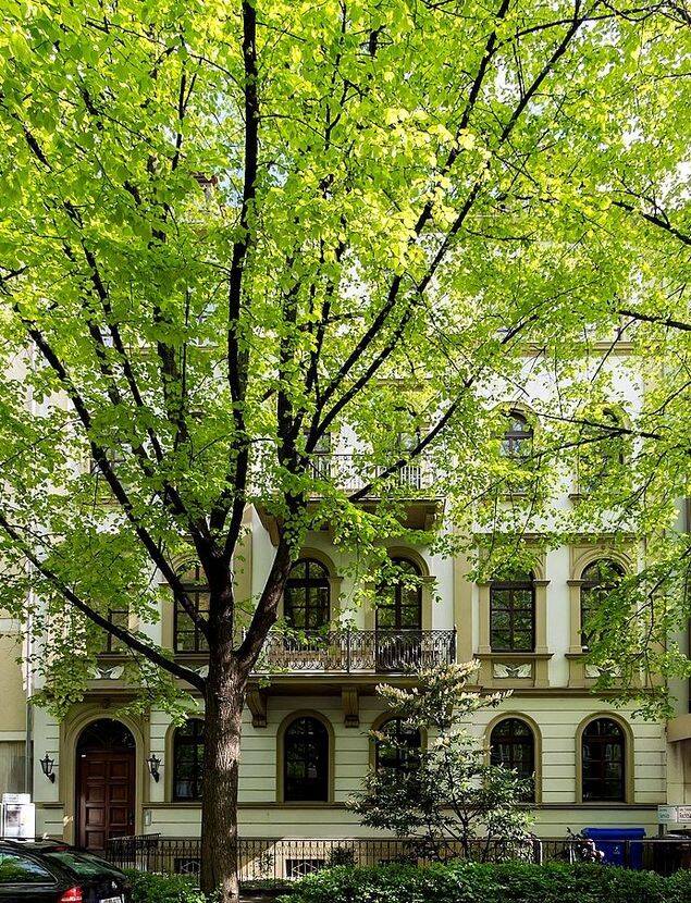Einmalige Gelegenheit: Wunderschöne Beletage im denkmalgeschützten Stadthaus von 1875, 97070 Würzburg (Altstadt)