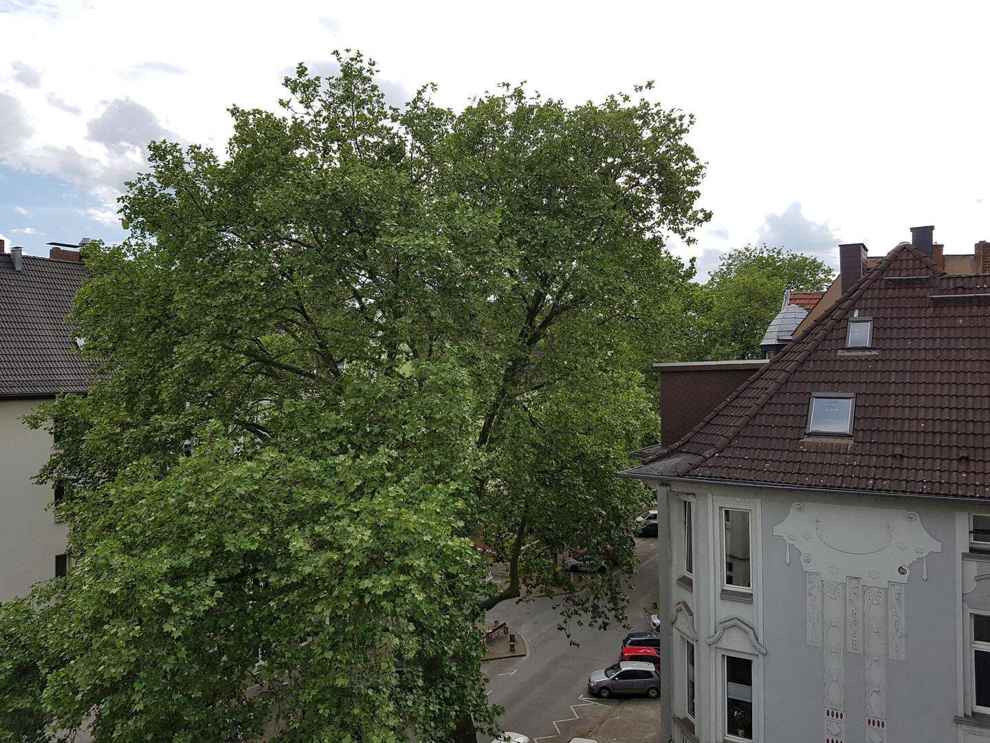 image-72849005