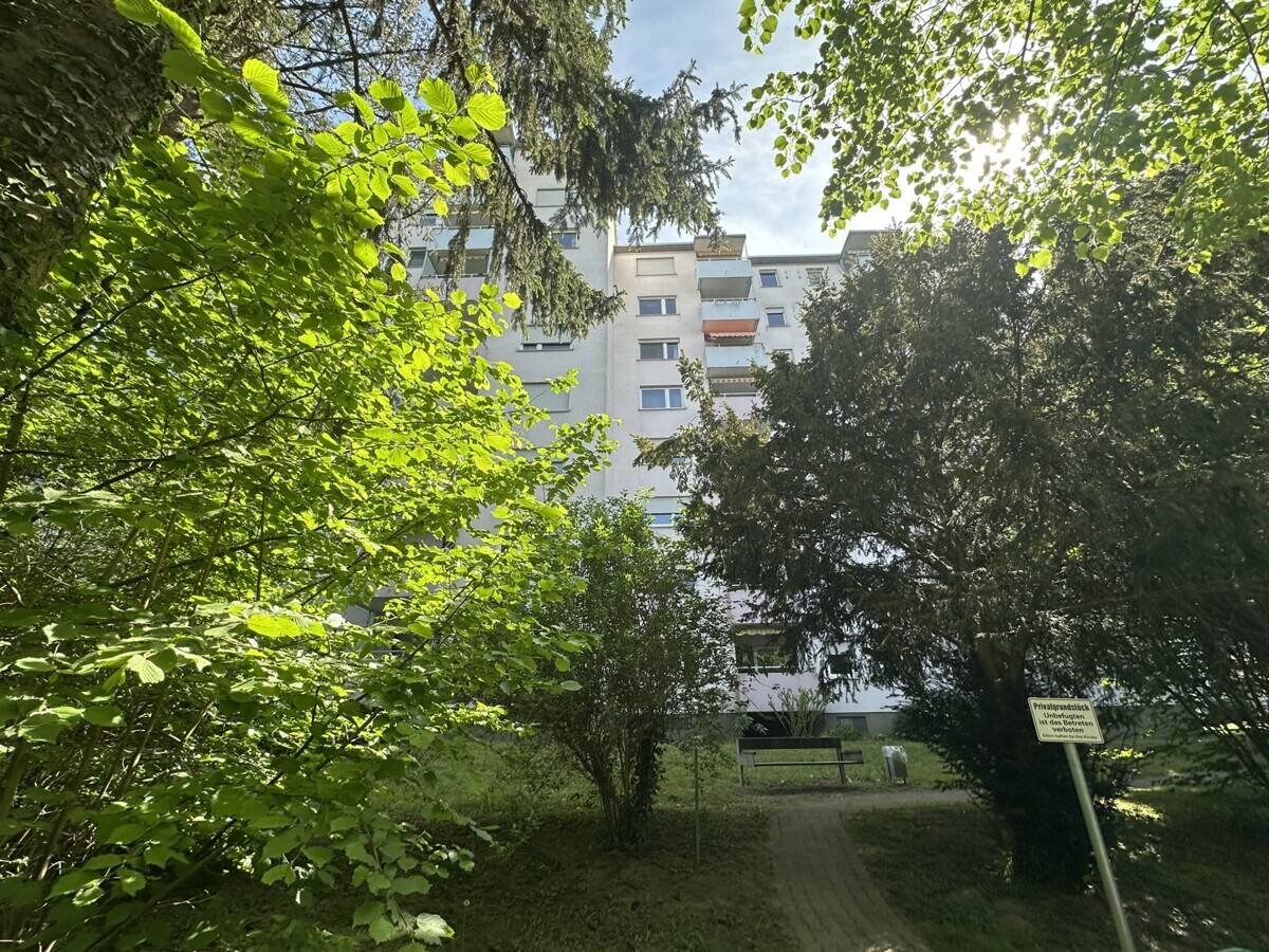 image-72764003