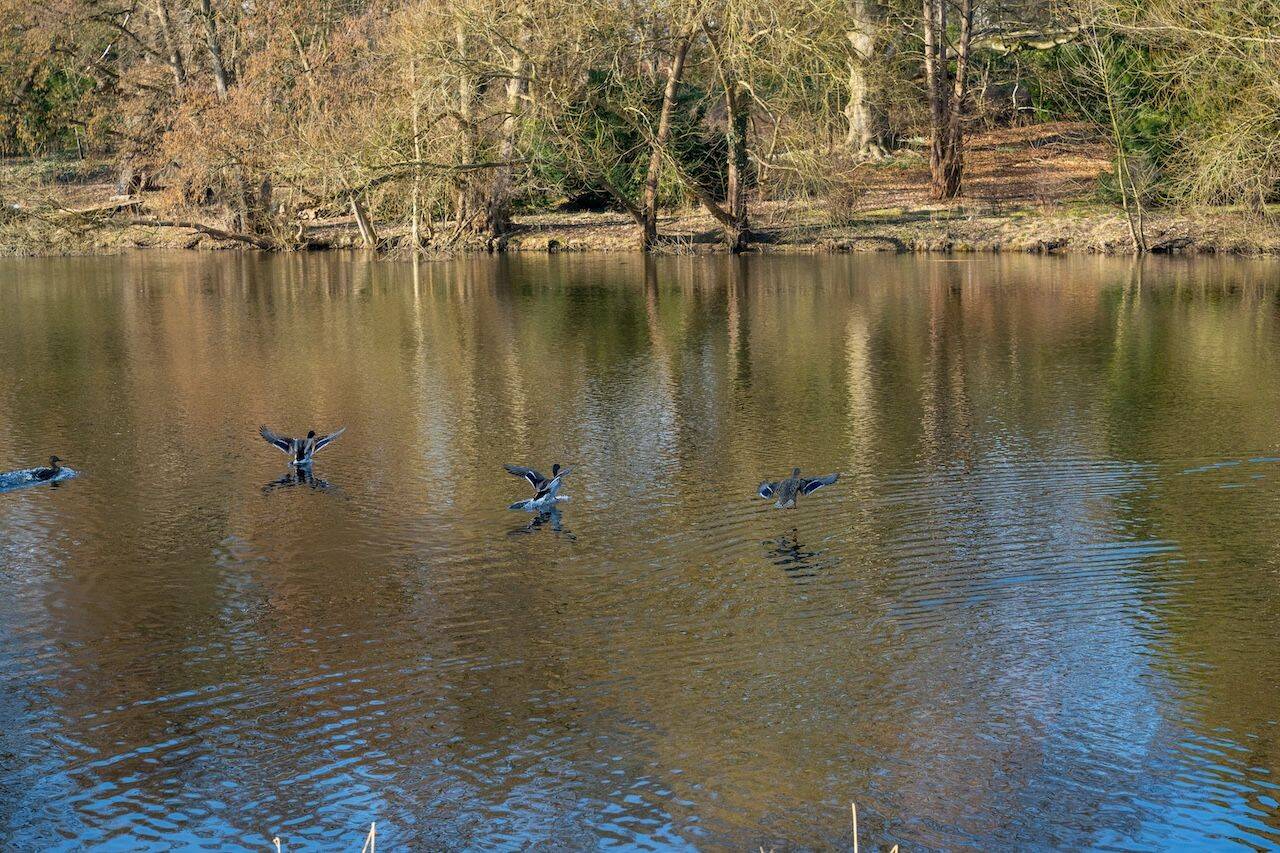 image-72503398