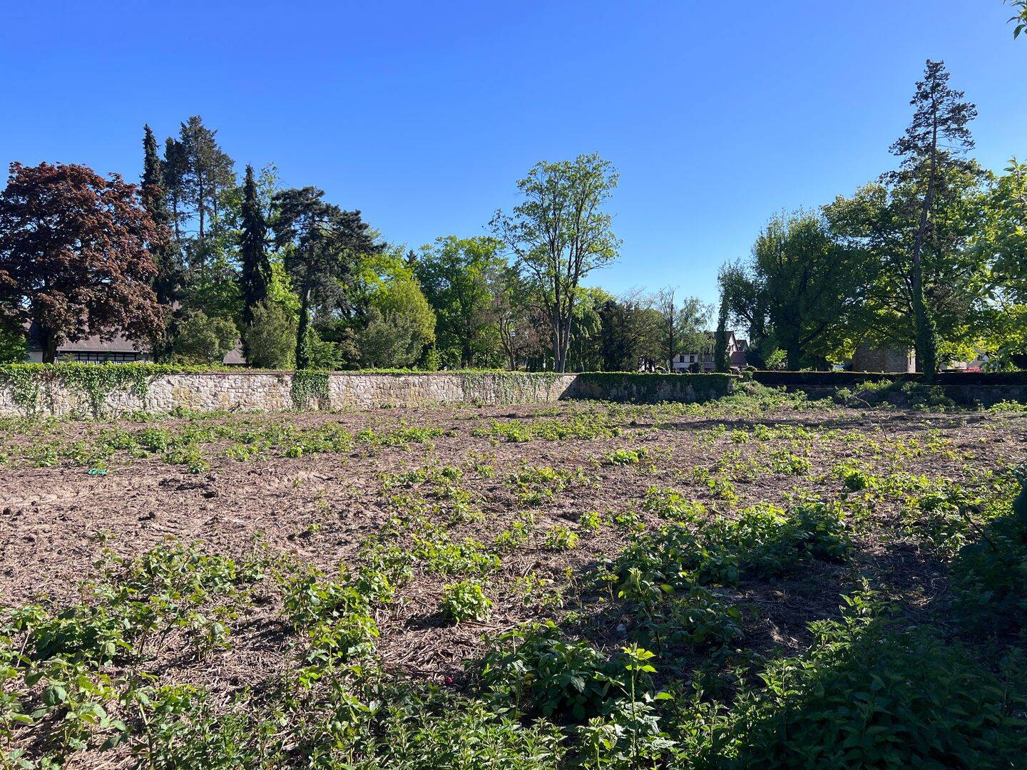 DESIGN TRIFFT RAUM: Bauhaus-Grundstück für Doppelhaushälfte, 61440 Oberursel (Taunus)