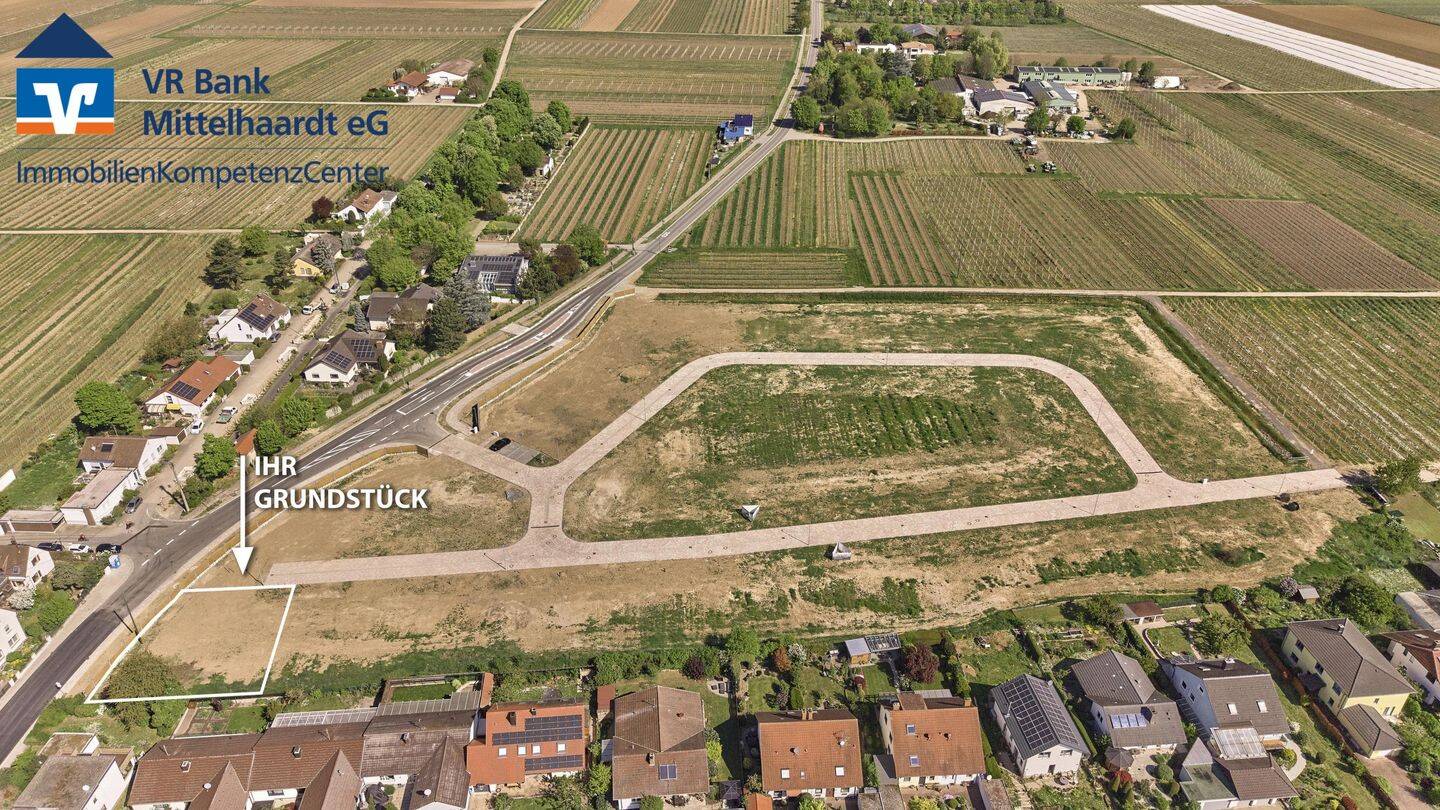 Attraktives Grundstück in Friedelsheim – ideal für Ihr Traumhaus!, 67159 Friedelsheim