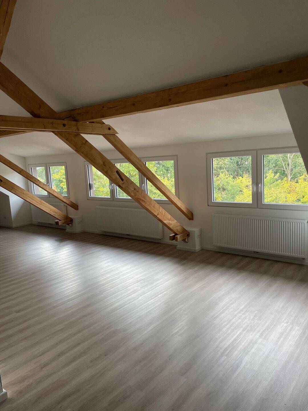 Mietwohnung, 1 Zimmer, 100 m², in Sankt Blasien, 79837 St. Blasien (Sankt Blasien)