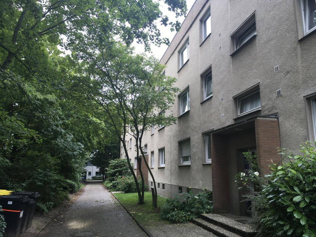 image-72472864