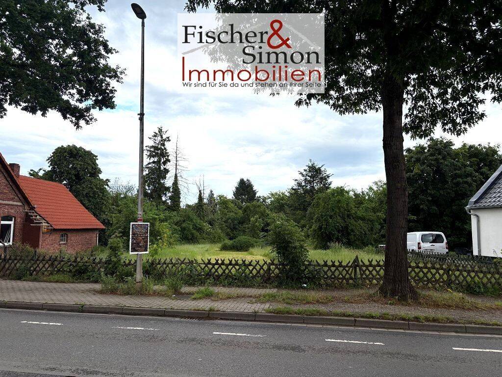 Stolzenau-sichtbar, großzügig, vielseitig-1288 m² Baugrundstück an der Landstraße, 31592 Stolzenau