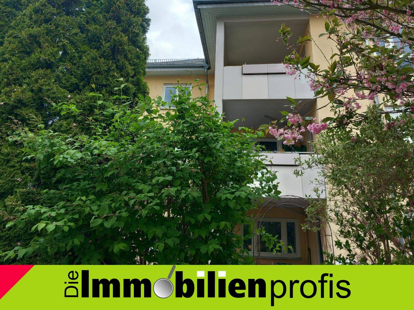 image-72776230