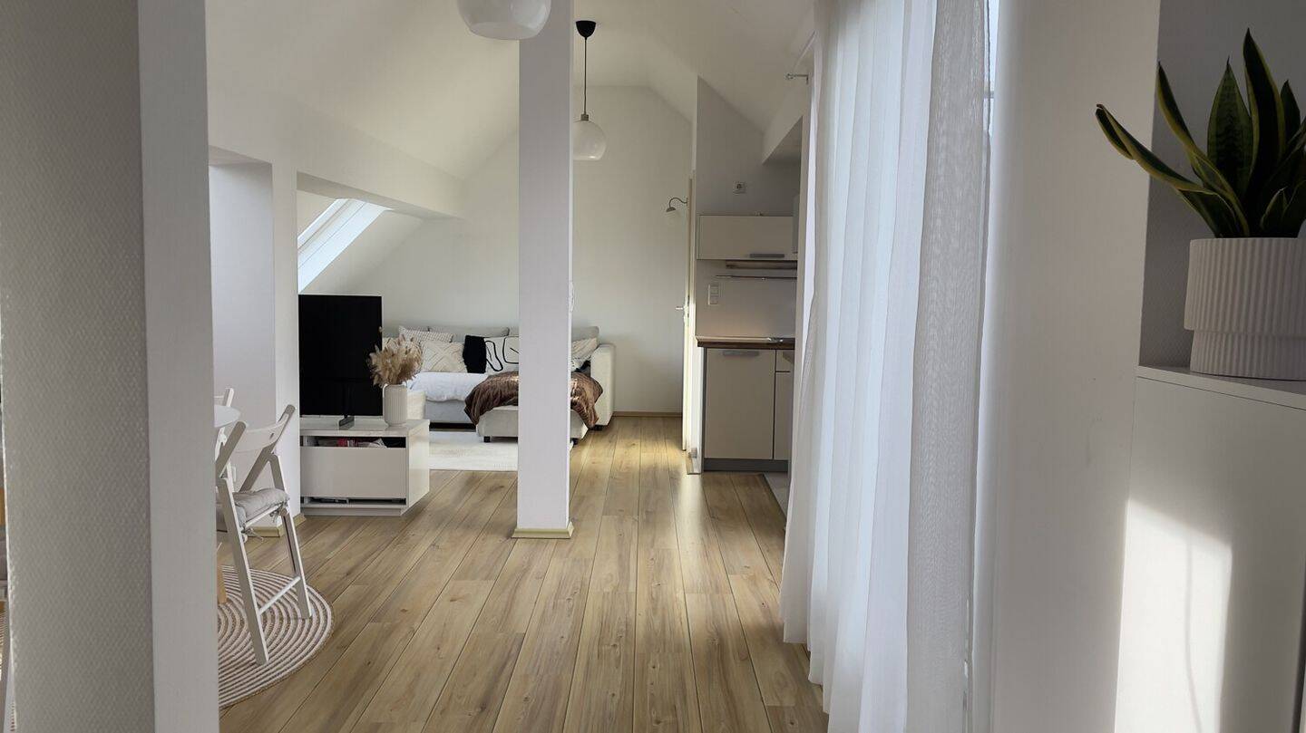 Lichtdurchflutetes Ein-Zimmer-Apartment mit sonniger Terrasse, 60386 Frankfurt am Main (Bornheim Fechenheim Riederwald Seckbach)