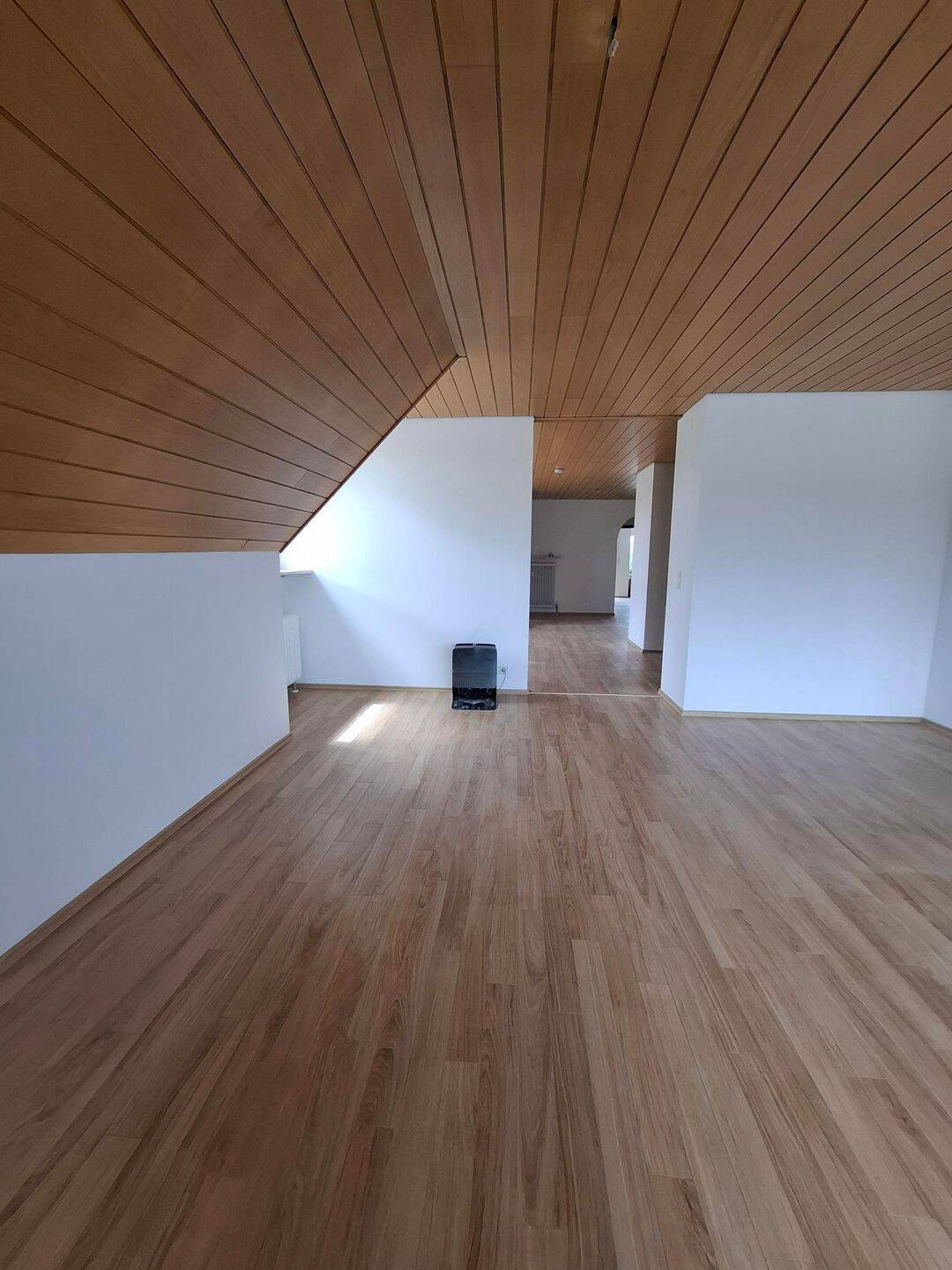 Viel Platz, viel Licht, viel Aussicht in DG-Wohnung, 90765 Fürth