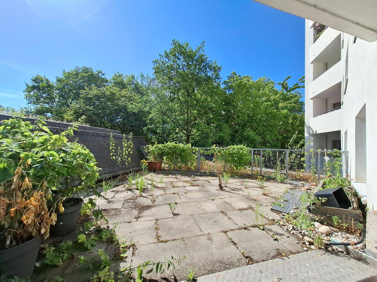 Für Mieter mit WBS-berechtigtem Einkommen – Gäste-WC, Terrasse und zusätzlicher Essbereich, 13435 Berlin (Reinickendorf Kolonie Einigkeit Kolonie Zur Pappel Märkisches Viertel Wittenau)