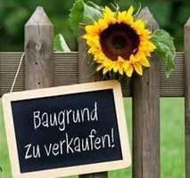 Wunderschönes Baugrundstück für eine vielfältige Bebauung für Ihre Wohnträume in gewachsener – grüner Umgebung!, 67454 Haßloch