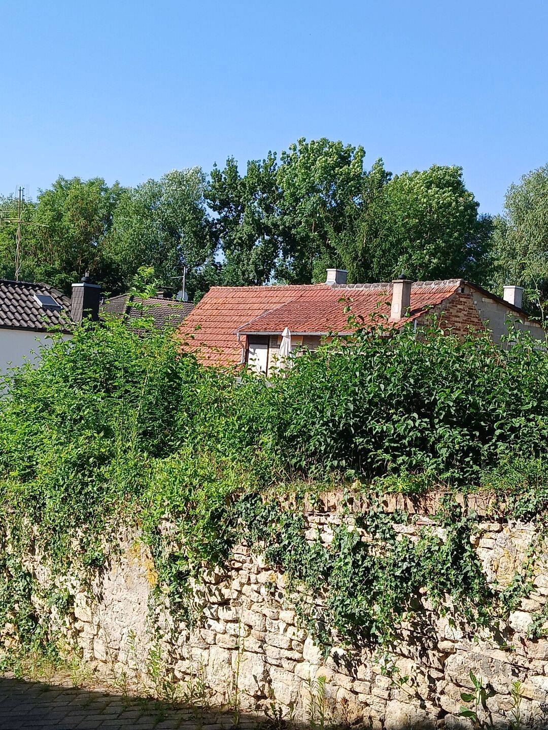 ZWANGSVERSTEIGERUNG EINES GRUNDSTÜCKES mit Einfamilienhaus, 55234 Freimersheim