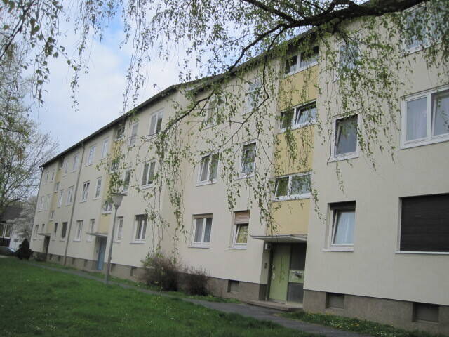 Mitten drin statt nur dabei: 3-Zimmer-Wohnung, 34127 Kassel