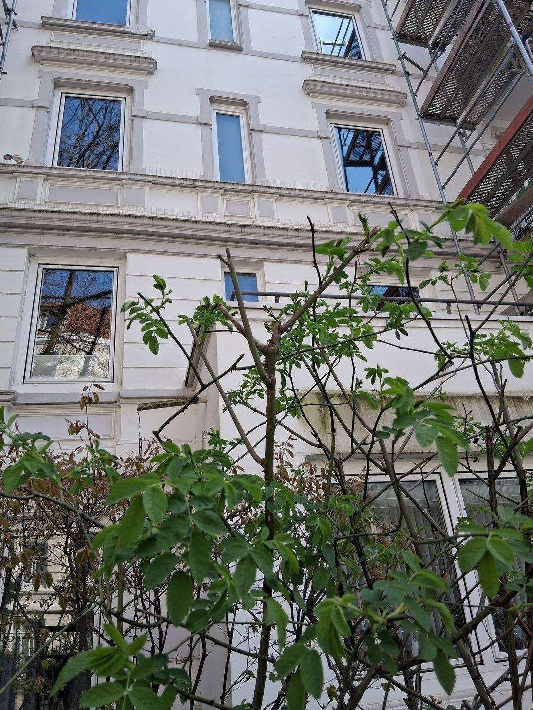 image-72808446