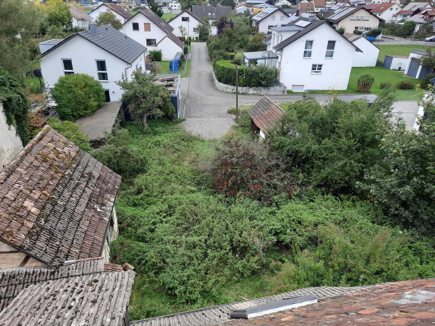 image-72500308