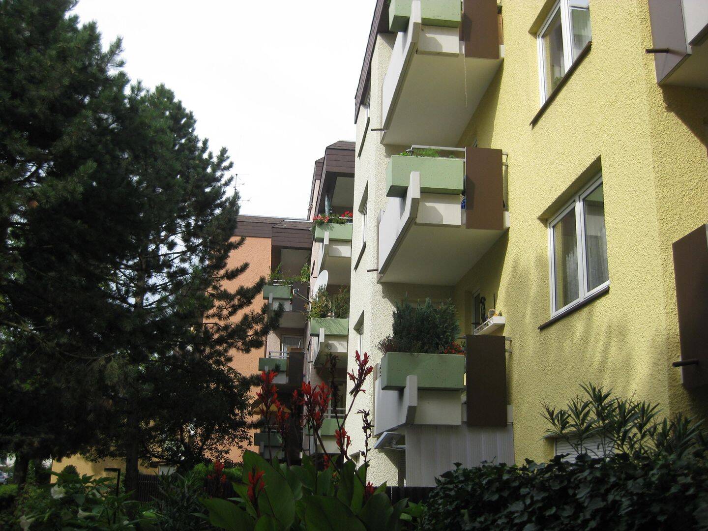image-72599603