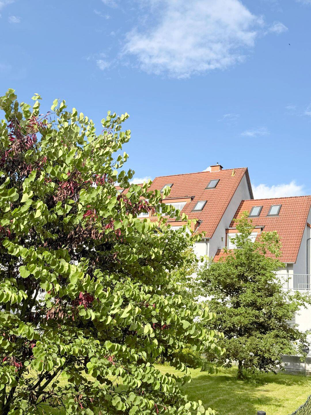 Kassel-Wehlheiden…wunderschöne Dachstudiowohnung mit Balkon, 34121 Kassel (Mitte Süd Wehlheiden)