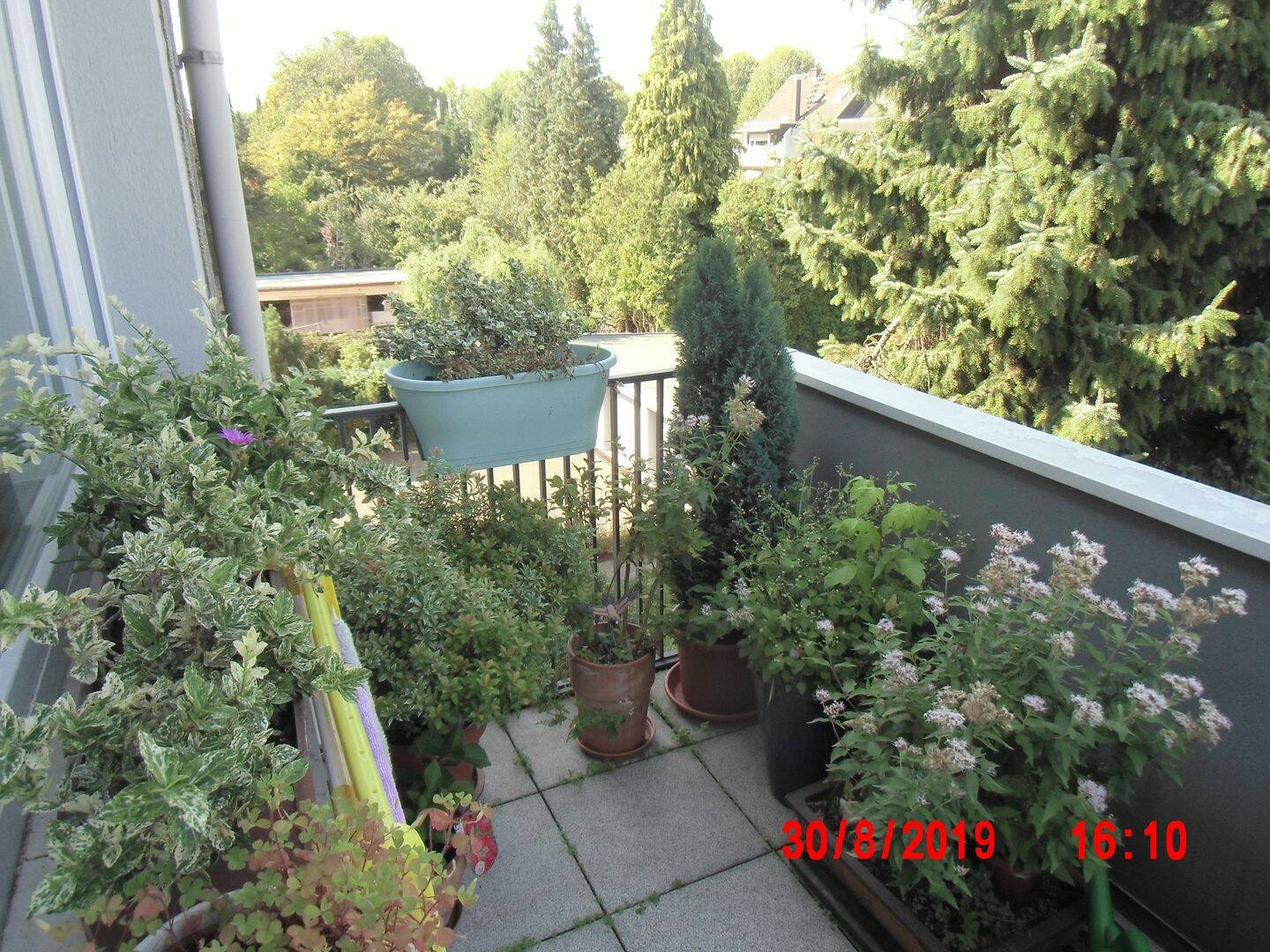 Ruhige, schöne 3 -Zimmerwohnung, 51375 Leverkusen (Schlebusch)