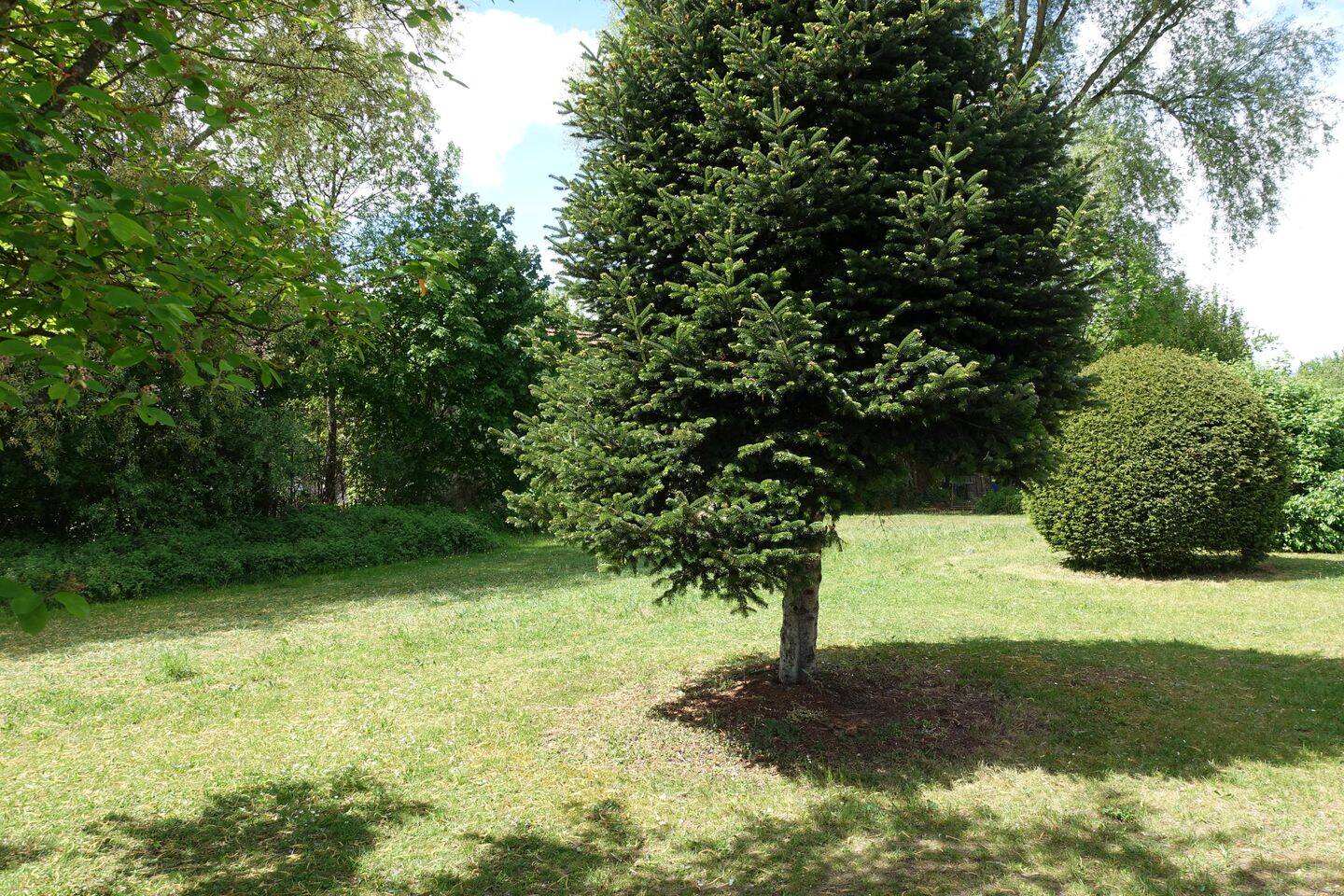 image-72575490