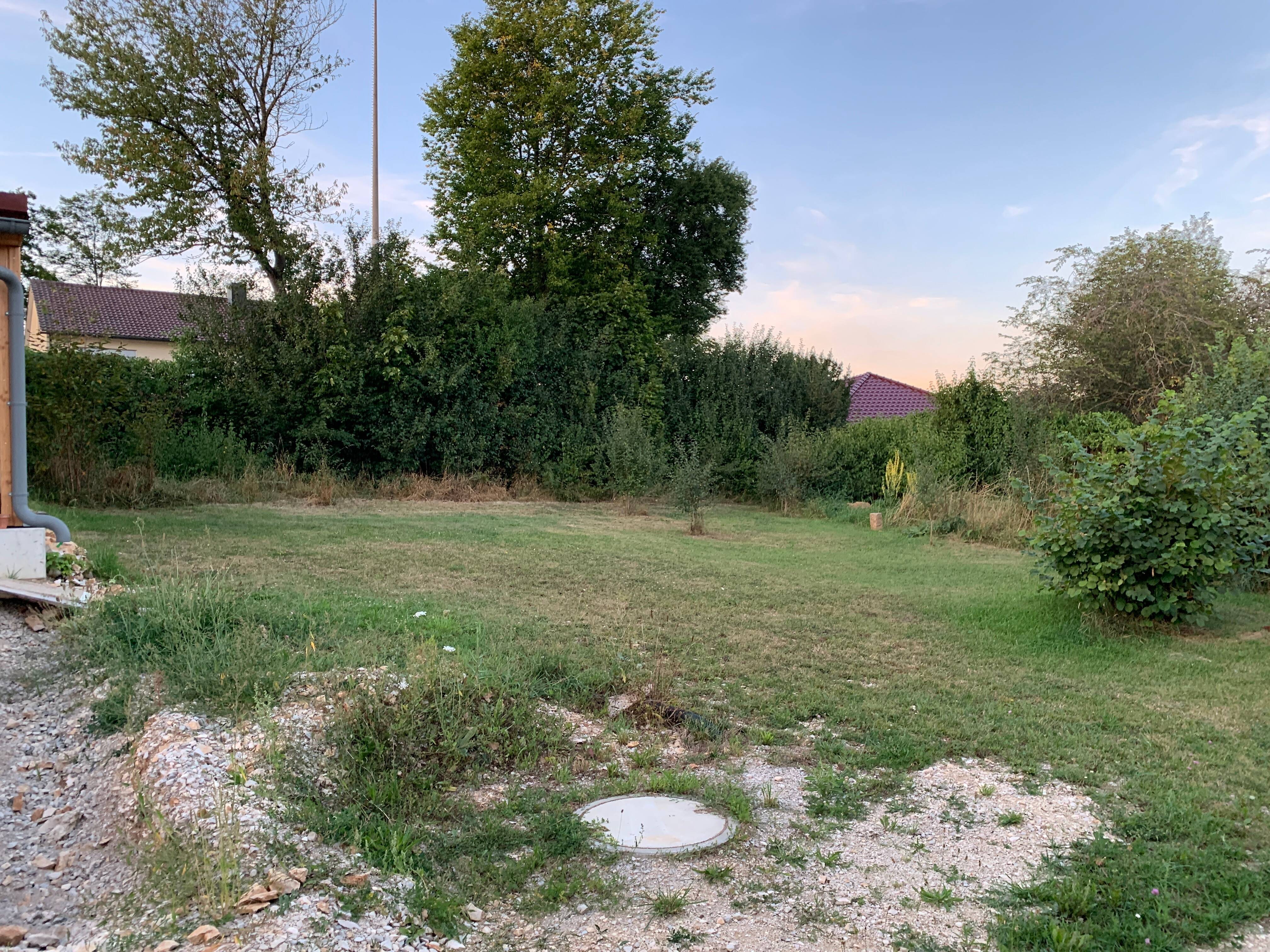image-72450069