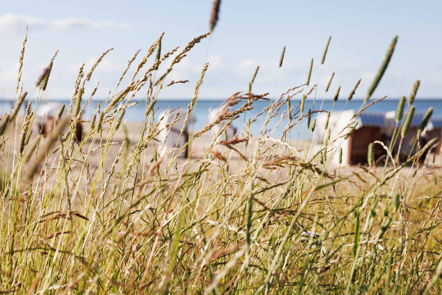 Exklusives Erdgeschoss-Apartment an der Ostsee – eingebettet im Naturschutzgebiet, 23968 Hohenkirchen