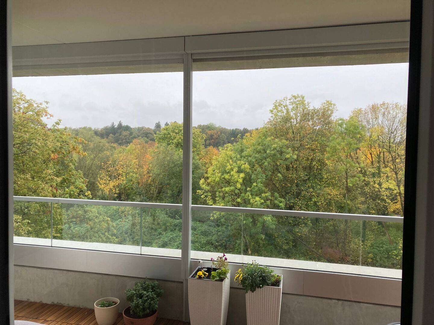 Lichtdurchflutetes Neubau 3-Zimmer-Wohnjuwel (DG) mit Traumblick am Allacher Forst, 80997 München (Allach-Untermenzing Moosach Pasing-Obermenzing)