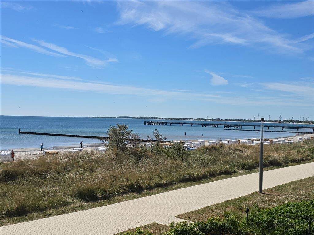 Rarität am Großenbroder Südstrand!, 23775 Großenbrode