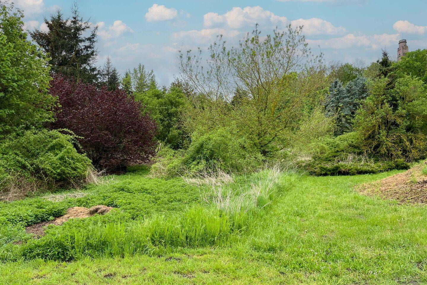 Schönes Grundstück mit viel Potenzial in vorteilhafter Lage in Wettin-Löbejün, 6193 Wettin-Löbejün