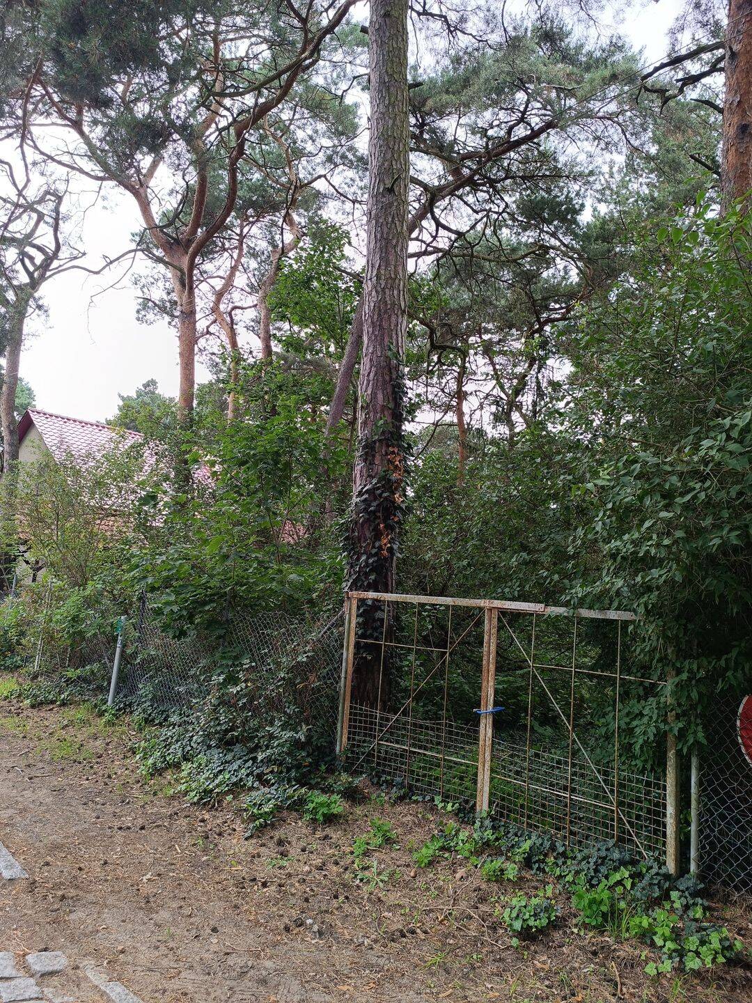image-72601239