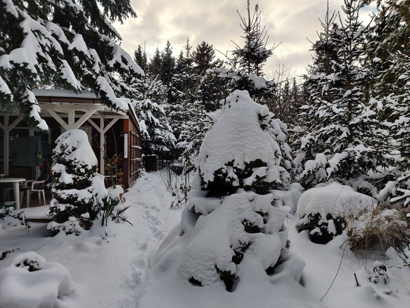 Garten in Zeitz-Rasberg mit wohnbaren Laube, Carport und großem Baumbestand, 6712 Zeitz